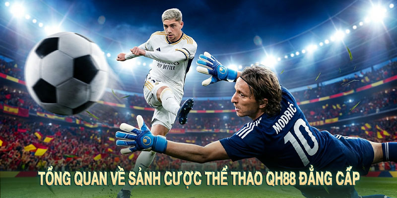 Thể Thao QH88 – Lý Do Nền Tảng Này Chiếm Trọn Spotlight