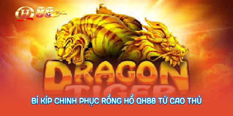 Bí kíp chinh phục rồng hổ QH88 từ cao thủ